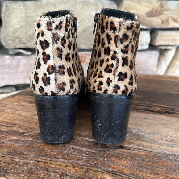 Vera Gomma Calf-hair / Pony-hair Cheetah print booties - Picture 5 of 10